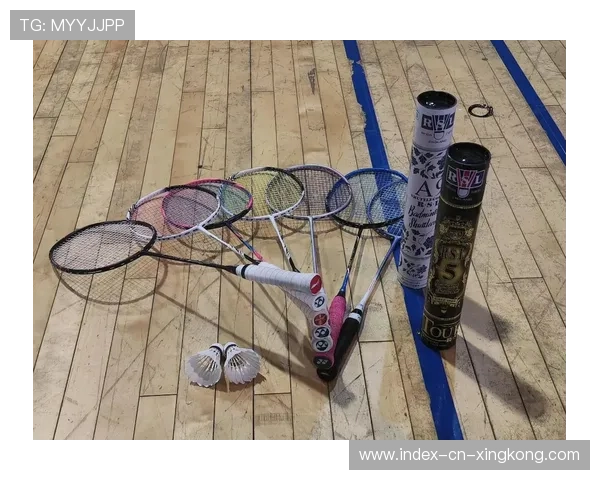 羽毛球快节奏抢网彻底压制悄然变革您的比赛策略