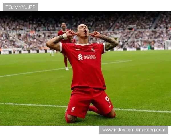 纽卡斯尔威尔逊终结冷静